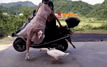 搞笑gif图:先定一个小目标,打扫卫生什么的让我来吧!