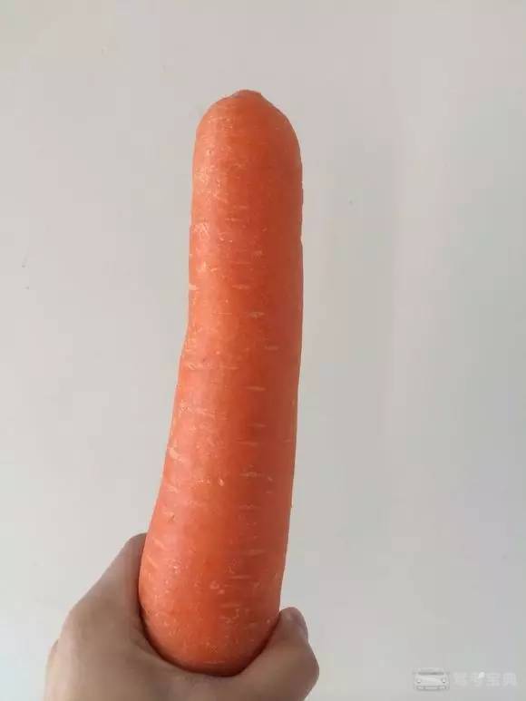 高速堵车尿急,菇凉们憋不住了可以这样优雅地解决