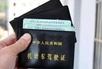 学驾动态：请善待你身边的每一位教练