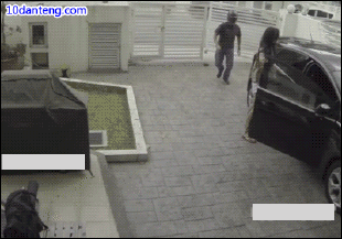 哭成这样,是有多可怕 来来来,福利来了 别人家的汪,看完就该考虑自己