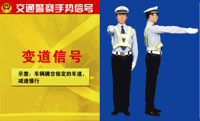 指示标志 - 指示标线 - 禁止标线 - 警告标线 - 警告标志 - 交警手势