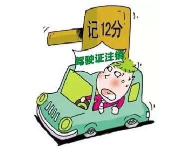 实用！有驾照的人都需要知道的驾照知识