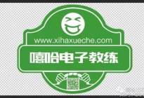 學(xué)駕心得：機器人學(xué)車電子教練，雷倒了整個朋友圈？