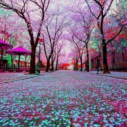 找个喜欢的句子发朋友圈吧 - 新闻详情 - 买车网