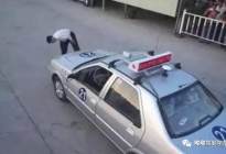 安泰驾校：科目三各种离奇挂科理由，连考官都忍不住笑了！