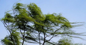 万顺驾校:大风天气高速公路上安全行车技巧