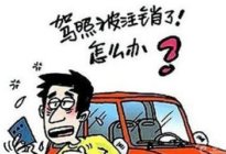 考本必备：广州市交通部门发布2017年上半年驾培市场供求状况信息公告