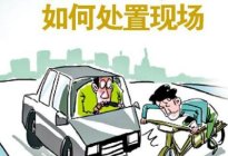 考本必备：为什么说新手学车首先要学会踩刹车，简直太可怕了！