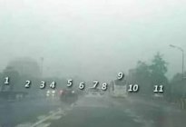 驾驶技巧：雾天应该开双闪灯还是雾灯