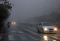 交通驾校：雾天怎么做到安全驾驶