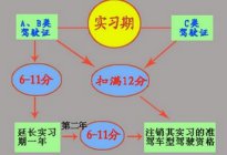 驾驶百科：驾驶证真伪查询