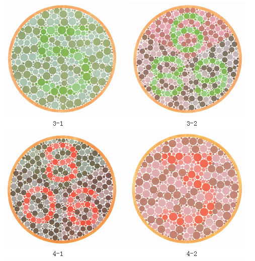 浙江省2017考驾照色盲检测图