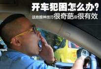 学驾动态：新手上路有哪些注意事项