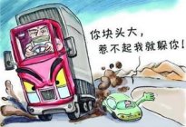 考本必备：驾考学车的过程，如何快速培养车感？