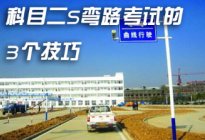 考本必备：科目二满分一点都不难 你先要学会像这只乌龟一样！