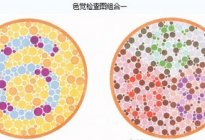 考本必备：科目二考试要点总结
