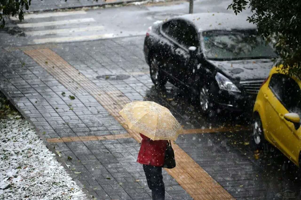 涨知识丨下雪天到底要不要打伞?终极解释在这里 驾考宝典