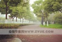 驾驶百科：科二练车手脚不协调怎么破？有没有技巧？