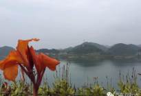 4世嘉什么时候上市的】 雪铁龙c4世嘉的通病|