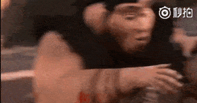 万能的人类,太有才了