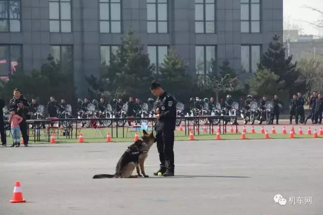 难得一见，北京反恐怖和特警总队新警摩托车比武实录