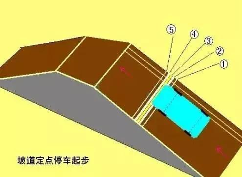 科目二通关就靠它!|路正驾校