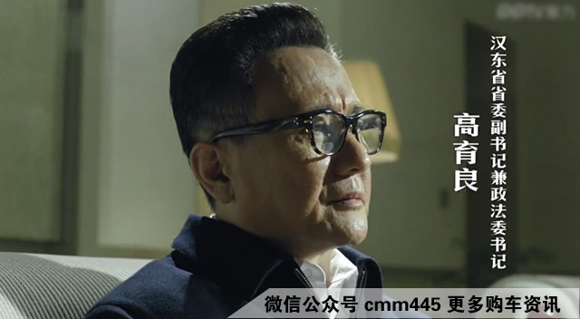 这8辆特点明显的车适合你吗?达康书记也和它