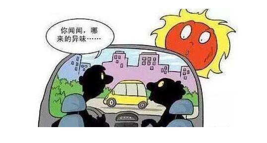 吸甲醛排名_除甲醛排名第一的植物