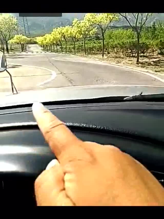 警安驾校:科目二s弯怎么看点打方向盘,小技巧勤学多练