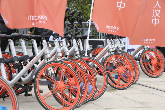 租共公自行车多少钱_天津 自行车租_汉中租自行车