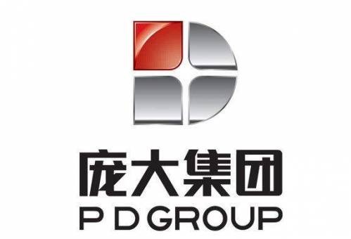 庞大汽贸集团遭证监会立案调查 可能有退市风