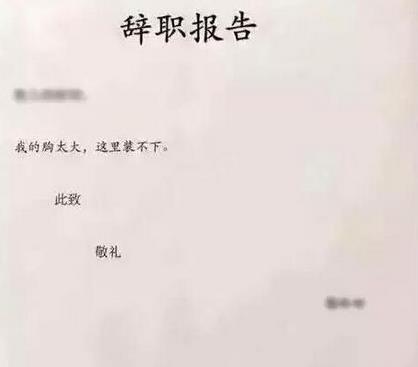 10大恶搞的请假条 笑到生活不能自理!