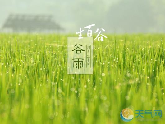 谷雨节气诗词大全 关于谷雨节气的诗句