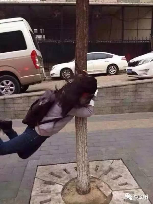 为什么连北京的九级大风,都刮不走众泰"员工"的身影?