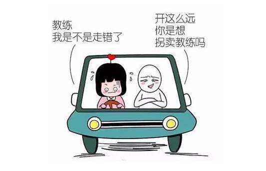 爆笑驾校教练精彩段子,你听过几条?
