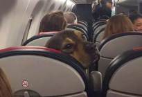 通达驾校百科：早上教练叫我去练车，偷懒没去，结果太悲剧了