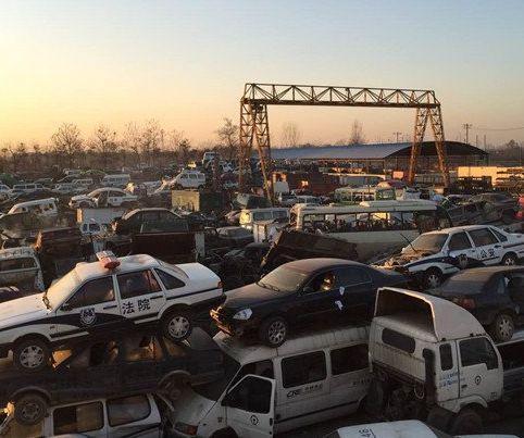 没领年检标志被强制报废