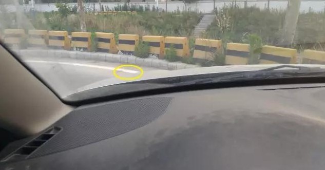學車技巧科二曲線行駛如何不壓線？愛麗舍車型示例-佛山市依時利新科技有限公司