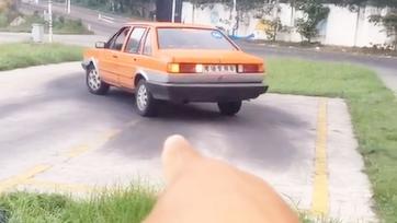 科目二:教练详解侧方停车技巧要领 找对入库点