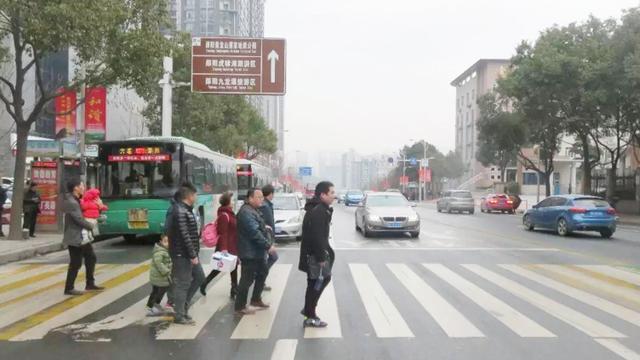 自从斑马线礼让行人标准出来后,就这样了 - 新