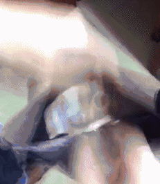 刚刚一段友问我: