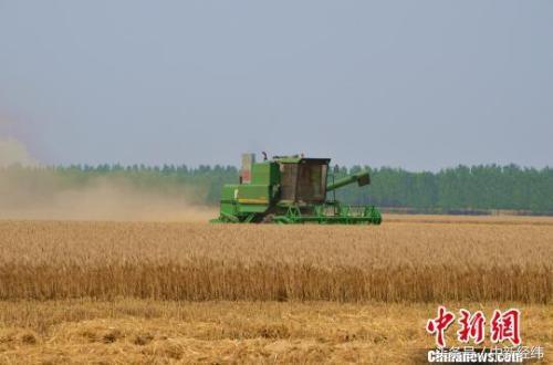 广东2020年上市农业龙头企业将达100家 - 新闻