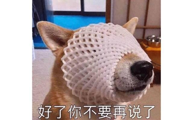 深圳牌照比飞度还贵,该买电动车吗?车盲萌妹子