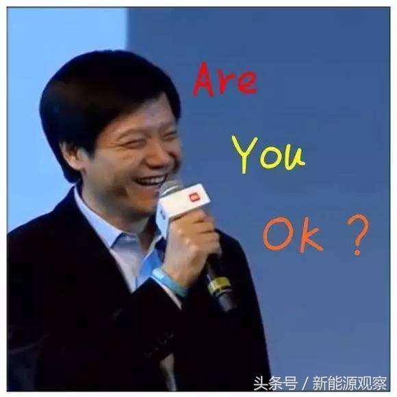Are you ok?雷军带领小米进军汽车业!马云刘强