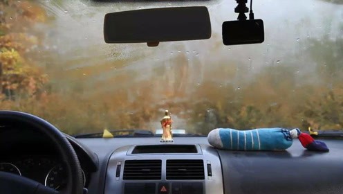 dd8da9008cbc4c5ea34636648df3af4e.jpeg!jpg