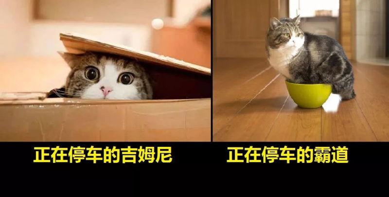 ʥֽ֡ʰأǲóľ˲в