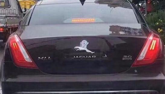 捷豹车主来了,皮皮豹3.0,你说我行我就行.