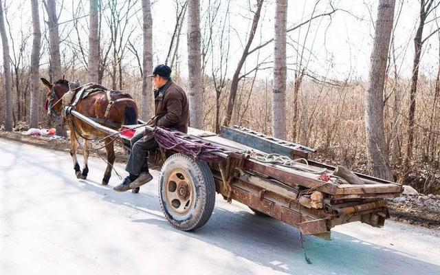 驴车,马车,骡子车已经成为过去式.