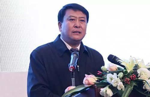 聚焦两会，看看汽车大佬们都说了啥！