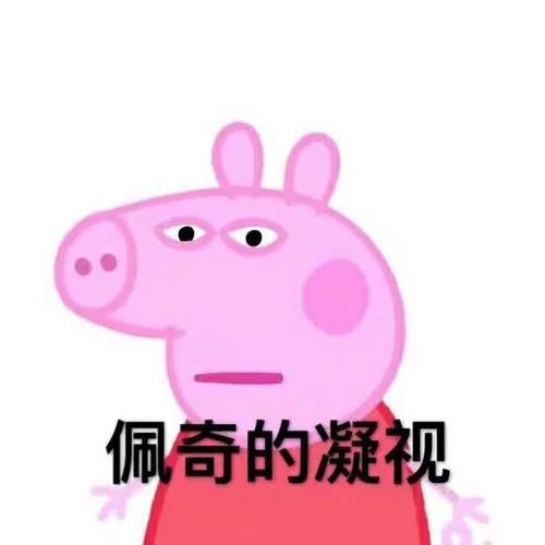 车上贴内涵段子将记3分罚款200元?听听交警